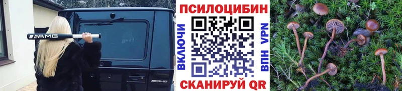 Галлюциногенные грибы GOLDEN TEACHER  Верхнеуральск 